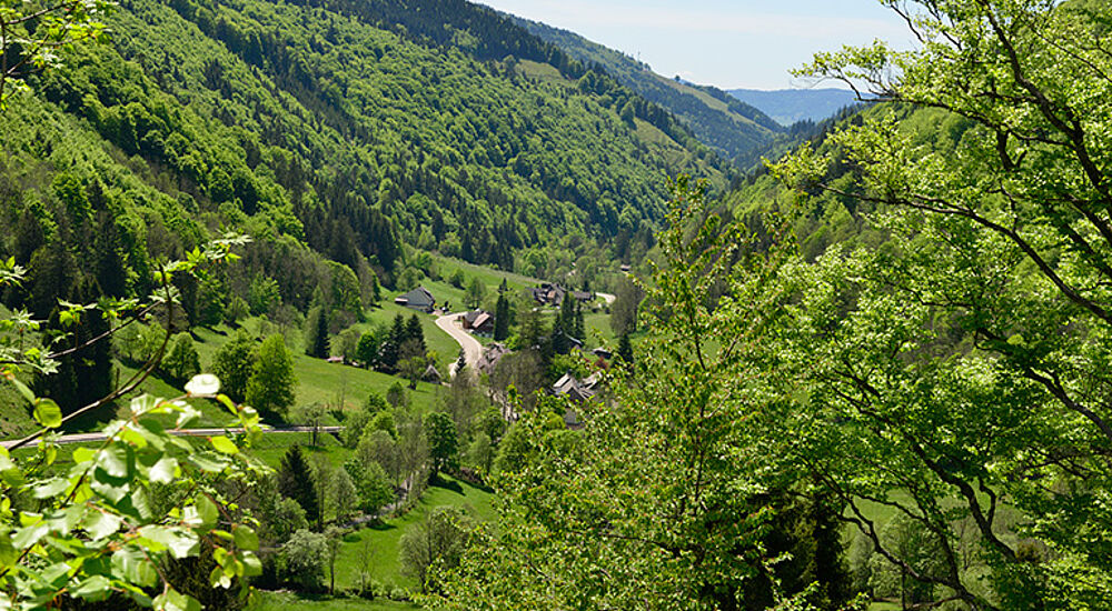 Landschaftsbild Brandenberg