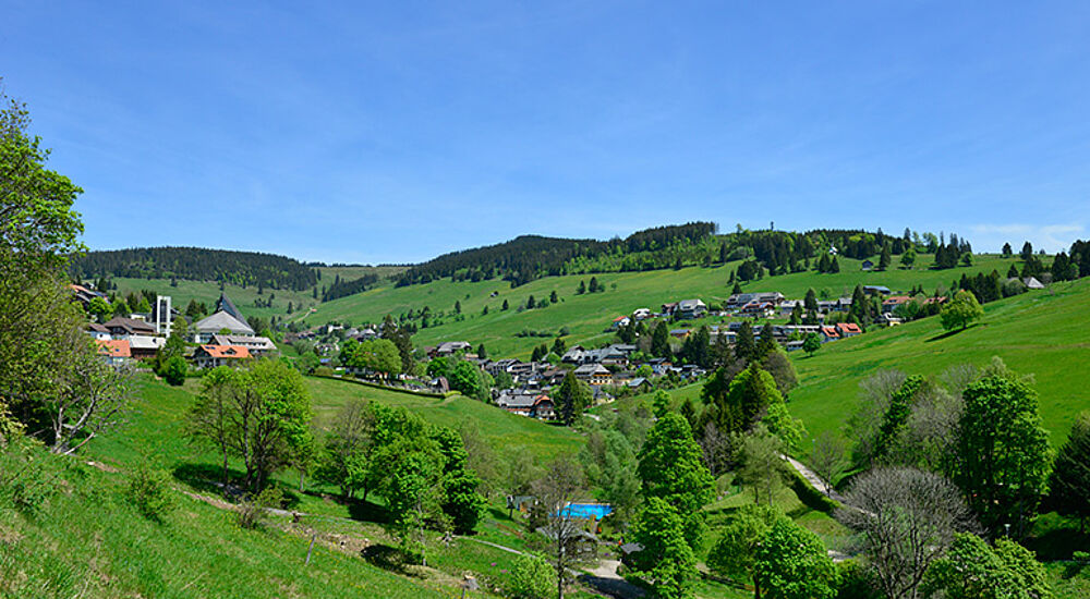 Landschaftsbild Todtdnauberg