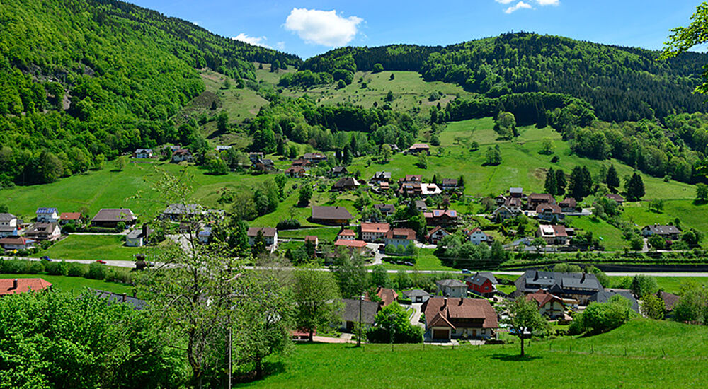Landschaftsbild Schlechtnau